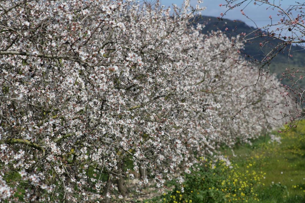 128 Finca Son Rossinyol Etv10657 By Mallorca Charme Villa Sineu  Eksteriør bilde